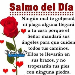 Meet your Posher, Gustavo